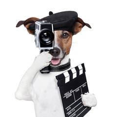 movie director dog - obrazy, fototapety, plakaty