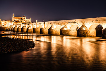 Great mosque and roman bridge at night in Cordoba, Spain