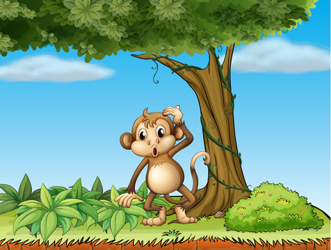 A monkey under a big tree