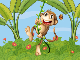 A hanging monkey