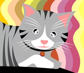 Foto op Plexiglas Katten kitten kat
