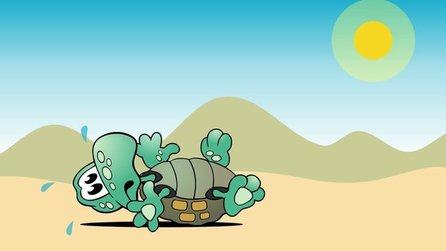 Turtle Desaster