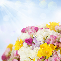 freesias bouquet