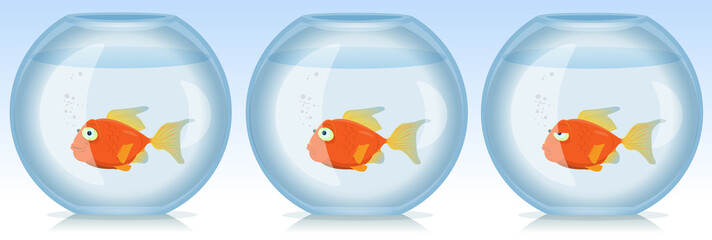 Gold Fish Life And Times In Aquarium - obrazy, fototapety, plakaty