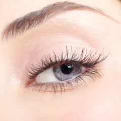 Naklejka premium Woman eye