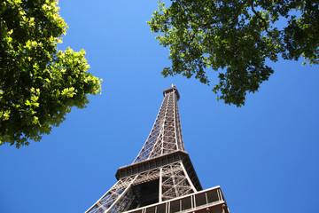 初夏のエッフェル塔を望む。