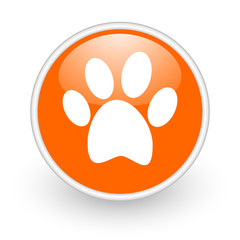 animal orange circle glossy web icon on white background