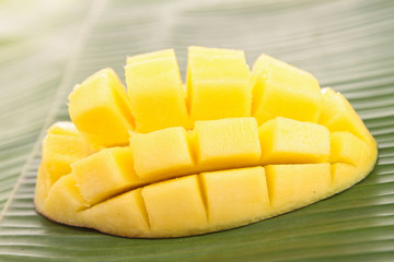 fresh mango