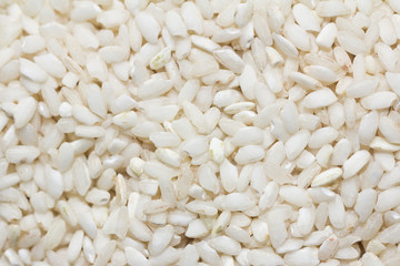 Arboria Rice