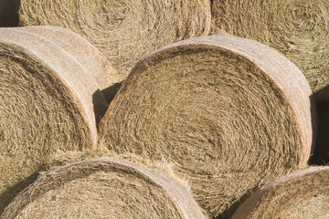 Hay roll