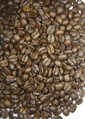 Kaffeebohnen
