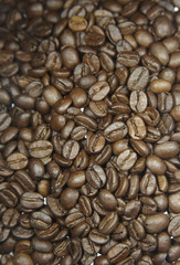 Kaffeebohnen