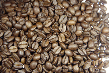Kaffeebohnen