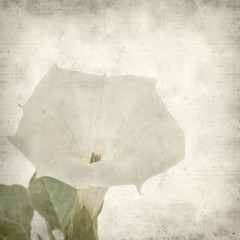 textured old paper background