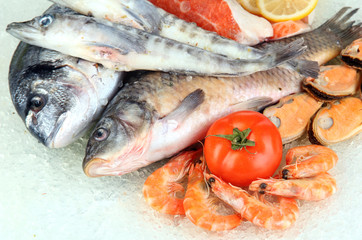 Fresh seafood on ice