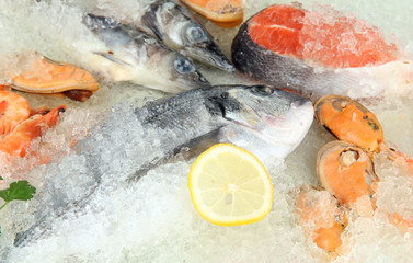 Fresh seafood on ice