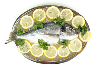 Fresh fish of dorado