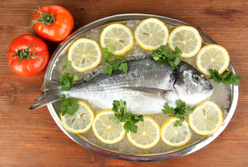 Fresh fish of dorado