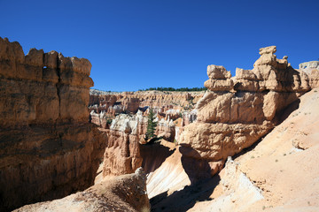 view of famous Navajo Trail