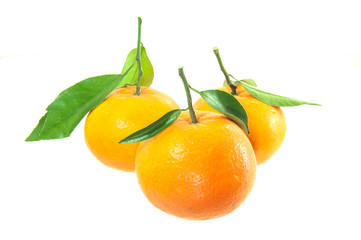 Orange on a white background