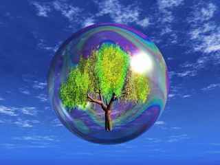 tree in a soap bubble
