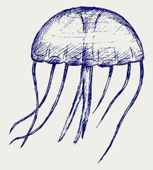 Naklejka premium Jellyfish. Doodle style