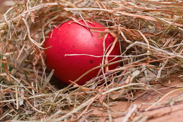 rotes Osterei im Heu
