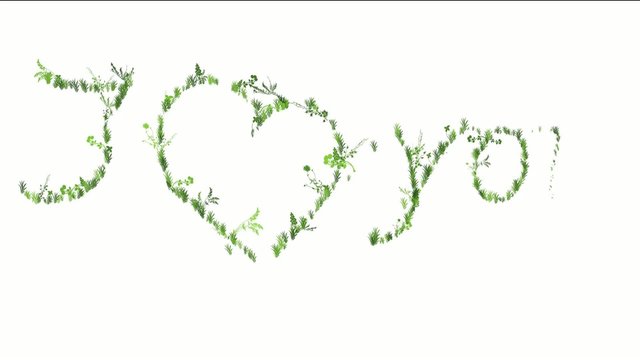I Love You animated words with roses
