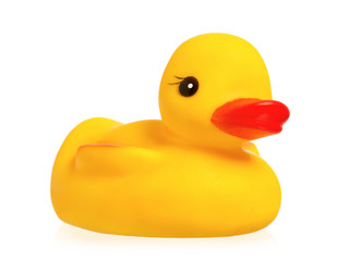 Rubber duck