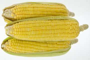 yellow corn