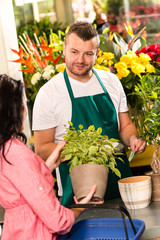 Smiling male florist selling potted plant flower