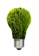 Lamp made ​​of green plants. Ecology conception