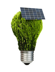 Lamp made ​​of green plants. Ecology conception