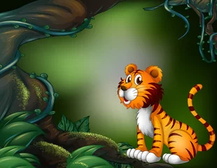 Crédence de cuisine en verre imprimé Animaux de la forêt Un tigre dans la forêt sombre
