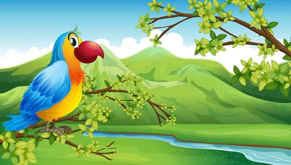 Crédence de cuisine en verre imprimé Animaux de la forêt Un oiseau coloré près de la montagne