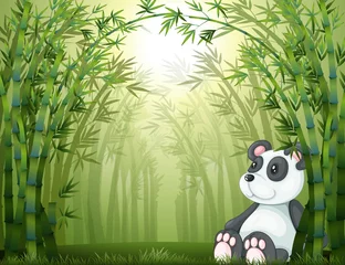 Poster Im Rahmen Ein Panda im Bambuswald © GraphicsRF