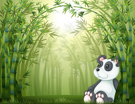 A panda in the bamboo forest