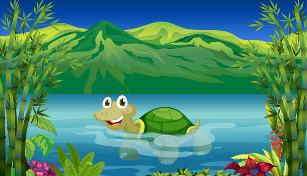 A turtle in the sea