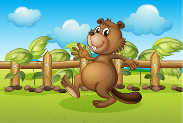 A beaver running inside a fence © GraphicsRF