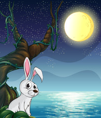 Un lapin et la pleine lune brillante