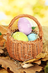 Easter eggs in wicker basket hidden in leaves