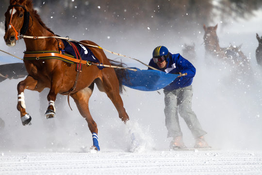 horse race