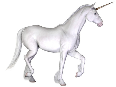 Unicorn, isolated on the white background