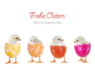 Frohe Ostern – 4 Küken in bunten Eiern