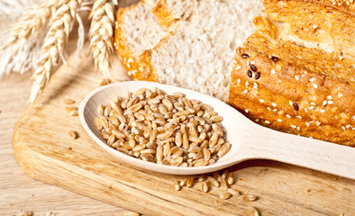 Fresh baked traditional bread and wheat