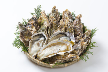 生牡蠣 © Tsuboya