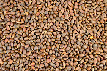 Cedar nuts in shell texture