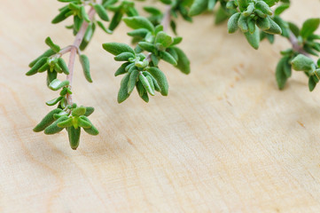 Fresh picked thyme