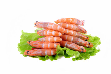 Shrimps on a white background