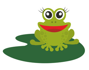 Green frog on a white background